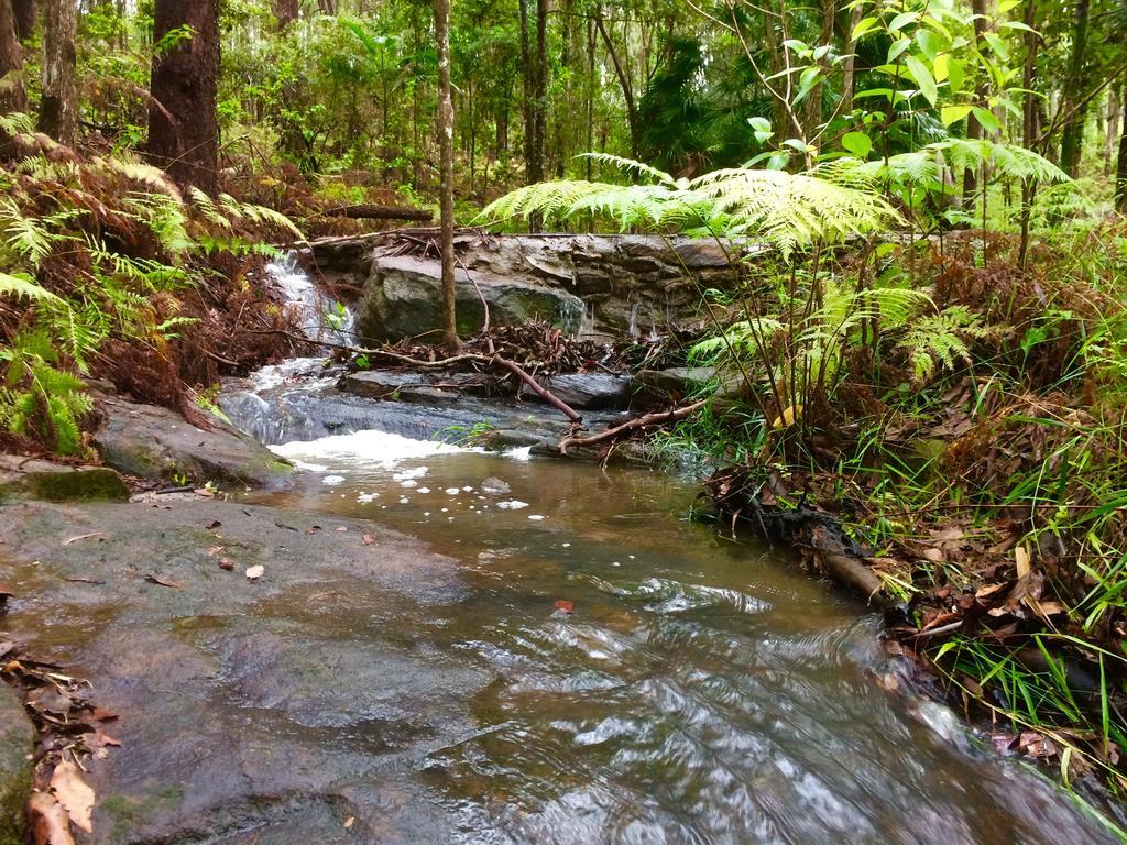 Noosa Hinterland Retreat Διαμέρισμα Tinbeerwah Εξωτερικό φωτογραφία